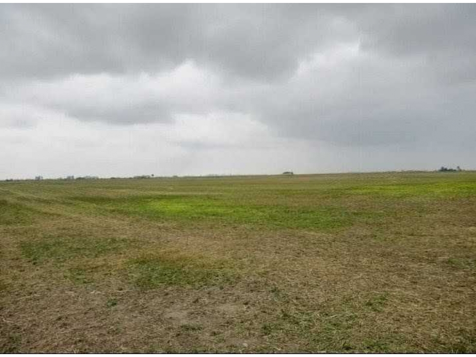 CAMPO 104 HECTAREAS, AGRICOLA, AREQUITO, SANTA FE, ARGENTINA - 3