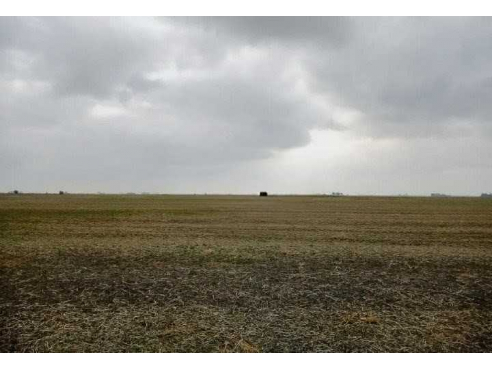 CAMPO 104 HECTAREAS, AGRICOLA, AREQUITO, SANTA FE, ARGENTINA - 4