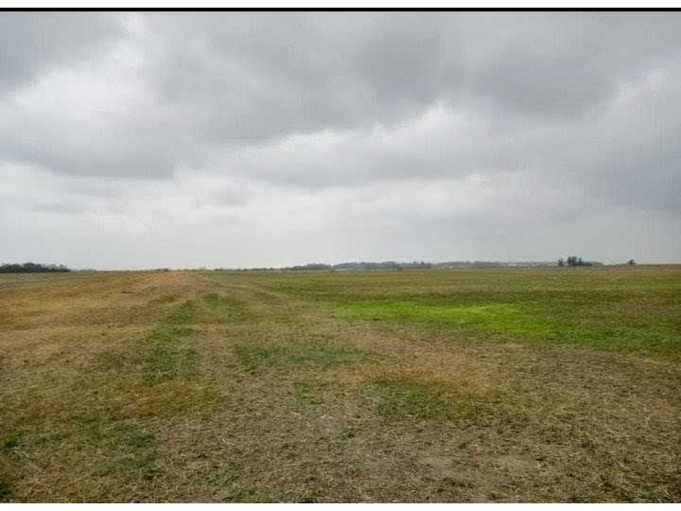 CAMPO 104 HECTAREAS, AGRICOLA, AREQUITO, SANTA FE, ARGENTINA - 5