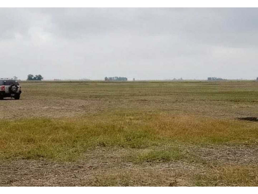 CAMPO 104 HECTAREAS, AGRICOLA, AREQUITO, SANTA FE, ARGENTINA - 6