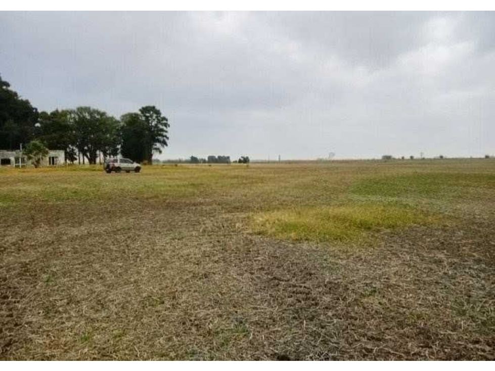 CAMPO 104 HECTAREAS, AGRICOLA, AREQUITO, SANTA FE, ARGENTINA - 1