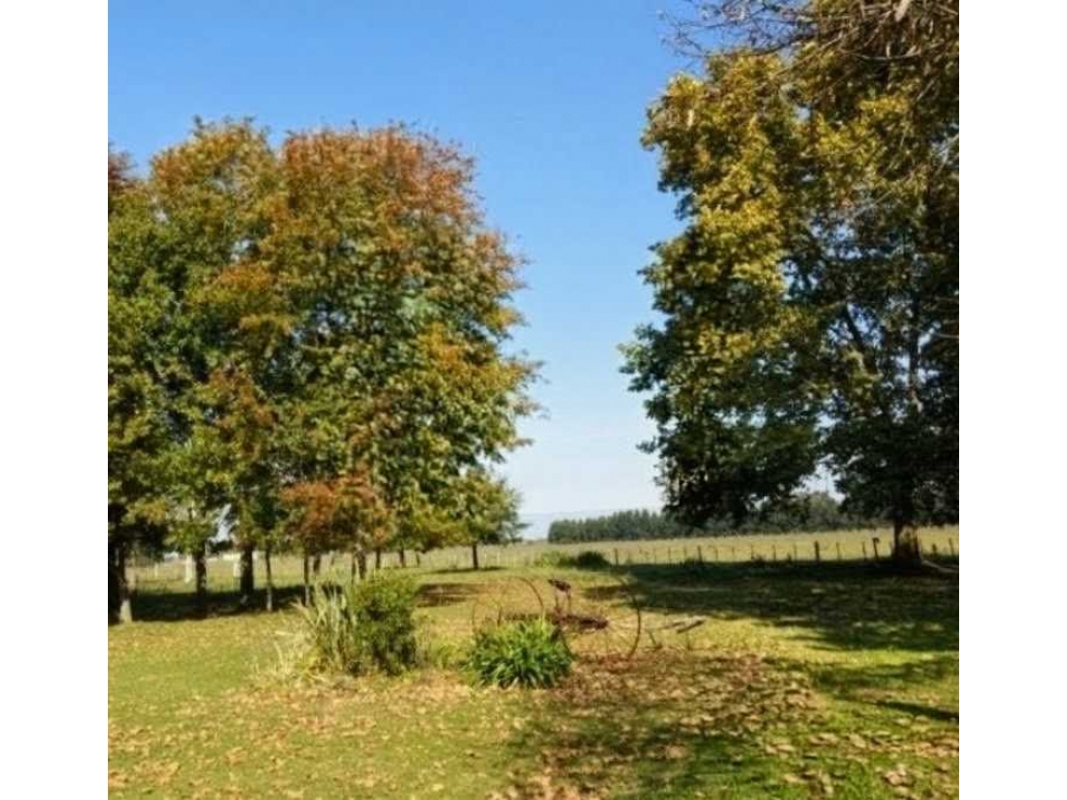 CAMPO 105 HECTAREAS, MIXTO, SAN VICENTE, BUENOS AIRES, ARGENTINA - 1