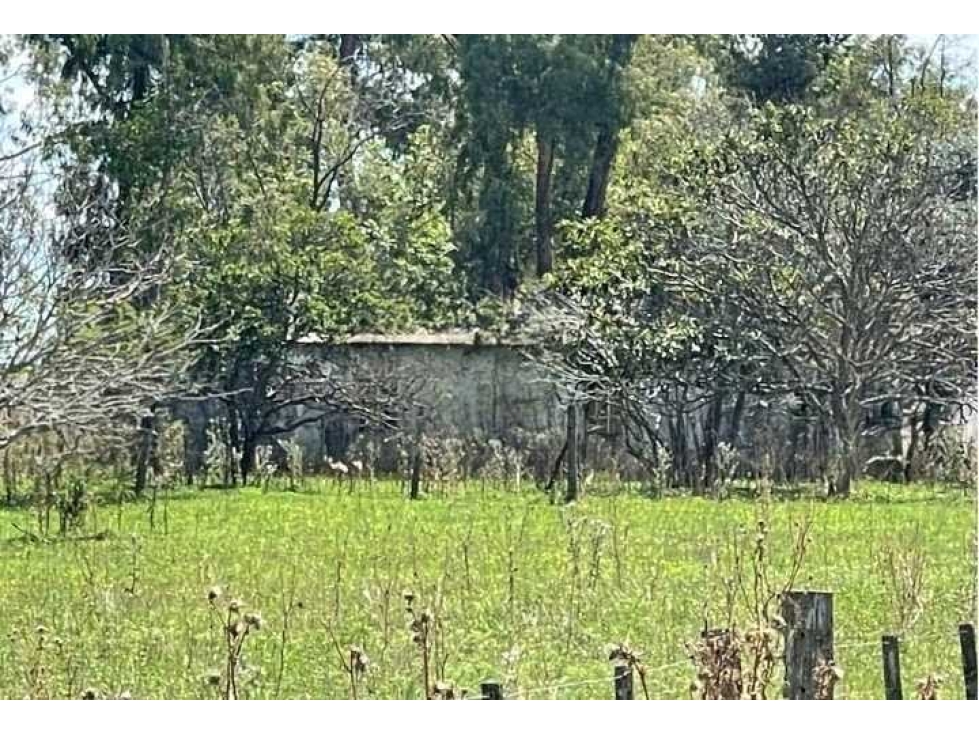 CAMPO 106 HECTAREAS, GANADERO, GENERAL ALVEAR, BUENOS AIRES, ARGENTINA - 3