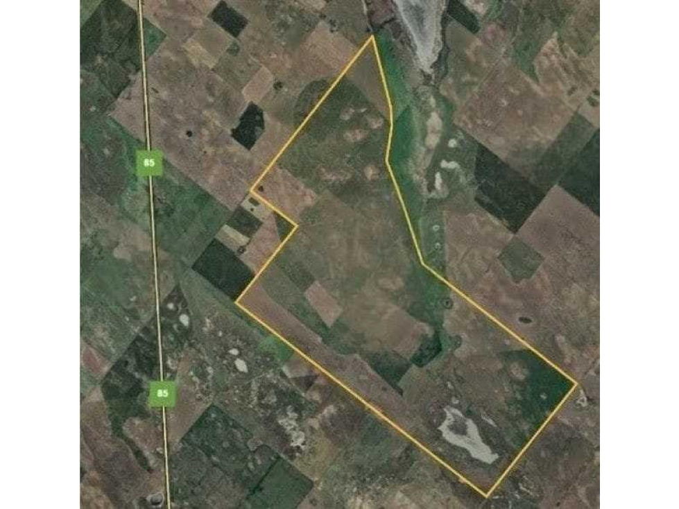 CAMPO 1087 HAS, MIXTO, GUAMINI, BUENOS AIRES, ARGENTINA - 2