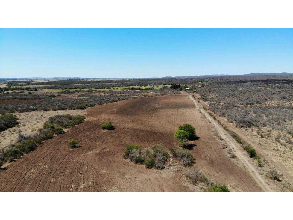 CAMPO 1098 HECTAREAS, MIXTO, LOS POZOS, CORDOBA, ARGENTINA - 1