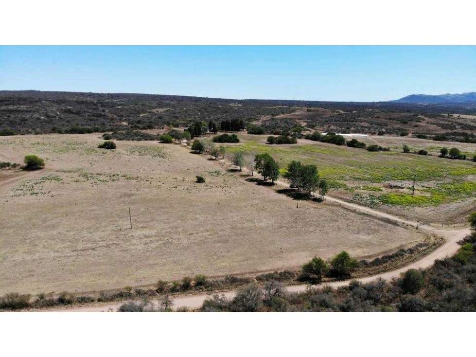 CAMPO 1098 HECTAREAS, MIXTO, LOS POZOS, CORDOBA, ARGENTINA - 6