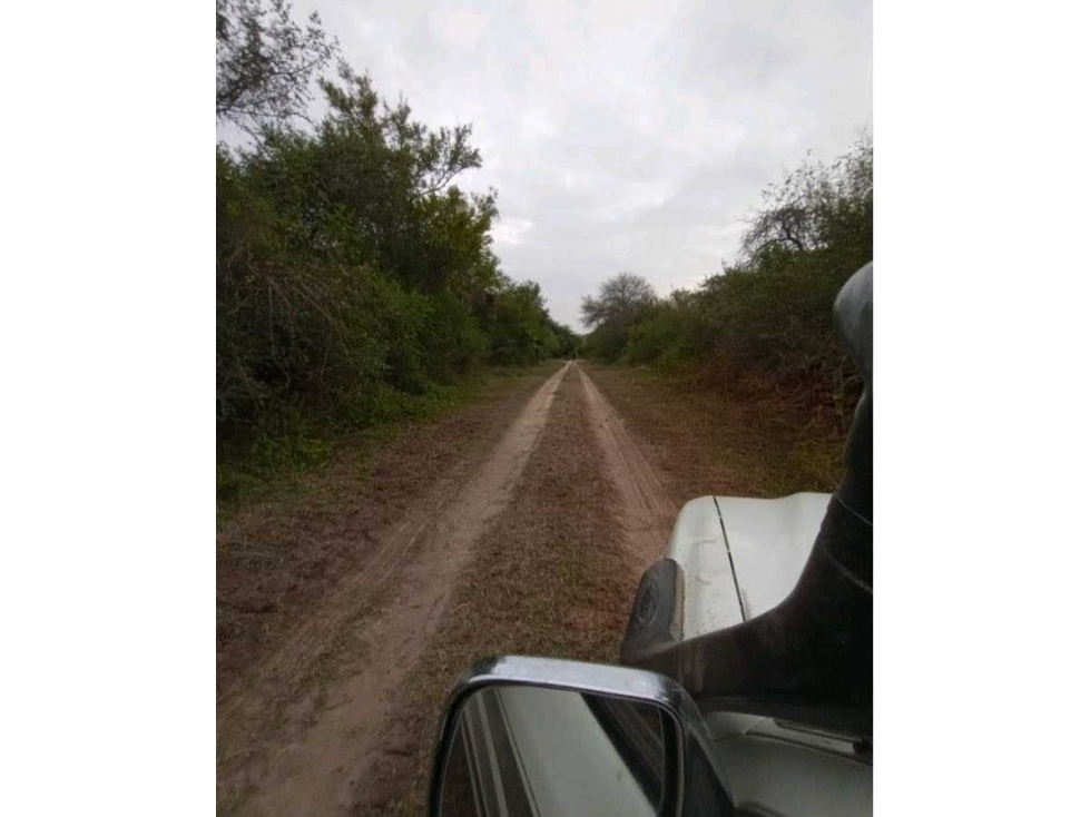 CAMPO 1125 HECTAREAS, MIXTO, GRANEROS, TUCUMAN, ARGENTINA - 2
