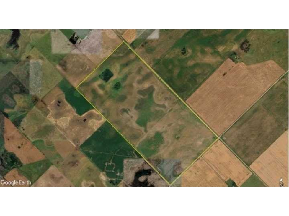 CAMPO 113 HECTAREAS, AGRICOLA, BUENOS AIRES, ARGENTINA - 2