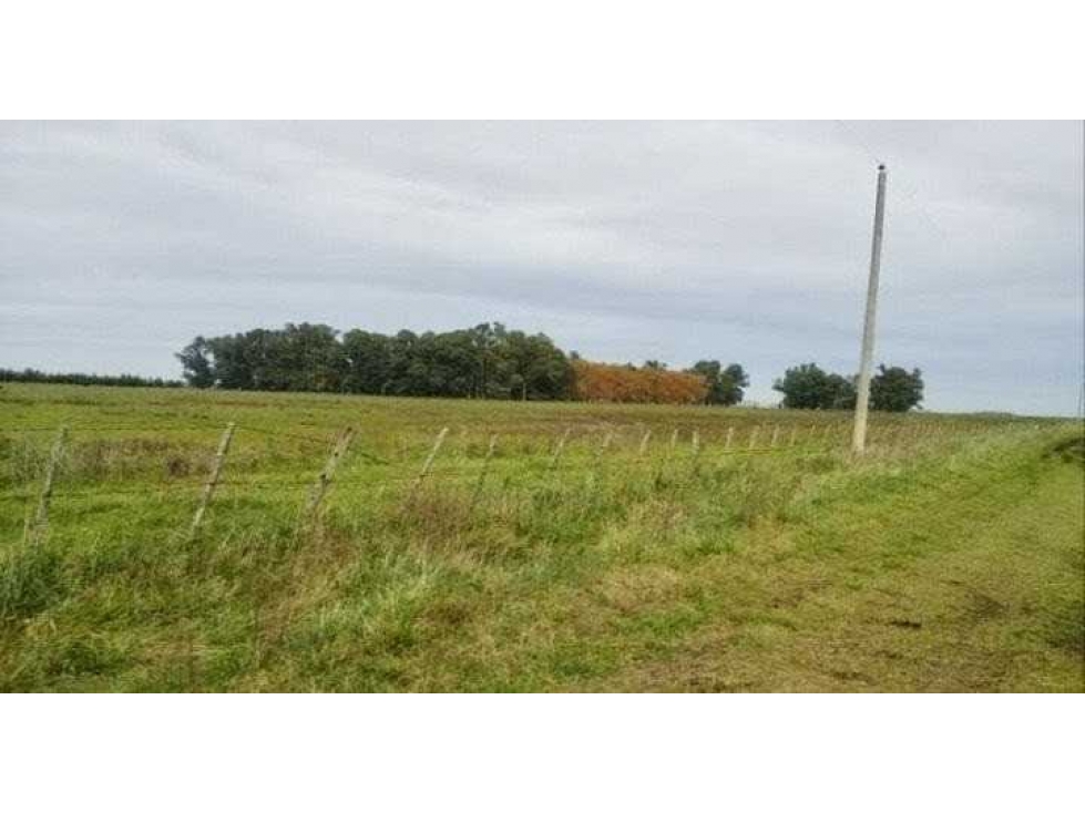 CAMPO 1156 HECTAREAS, MIXTO,AYACUCHO, BUENOS AIRES,ARGENTINA - 2