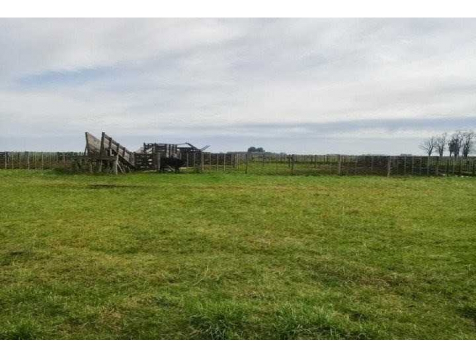 CAMPO 1156 HECTAREAS, MIXTO,AYACUCHO, BUENOS AIRES,ARGENTINA - 3