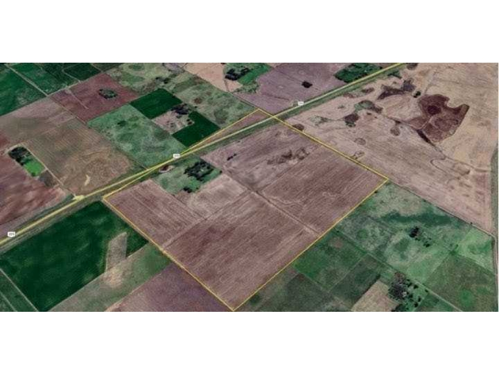CAMPO 116 HECTAREAS, AGRICOLA, SALADILLO, BUENOS AIRES, ARGENTINA - 3