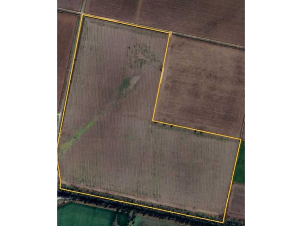 CAMPO 118 HAS AGRICOLAS, MARCOS JUAREZ, CORDOBA, ARGENTINA - 2
