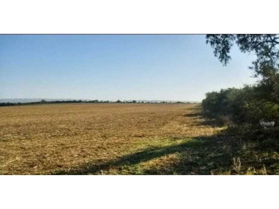CAMPO 118 HECTAREAS, AGRICOLA, TOTORAL, CORDOBA, ARGENTINA — foto 2
