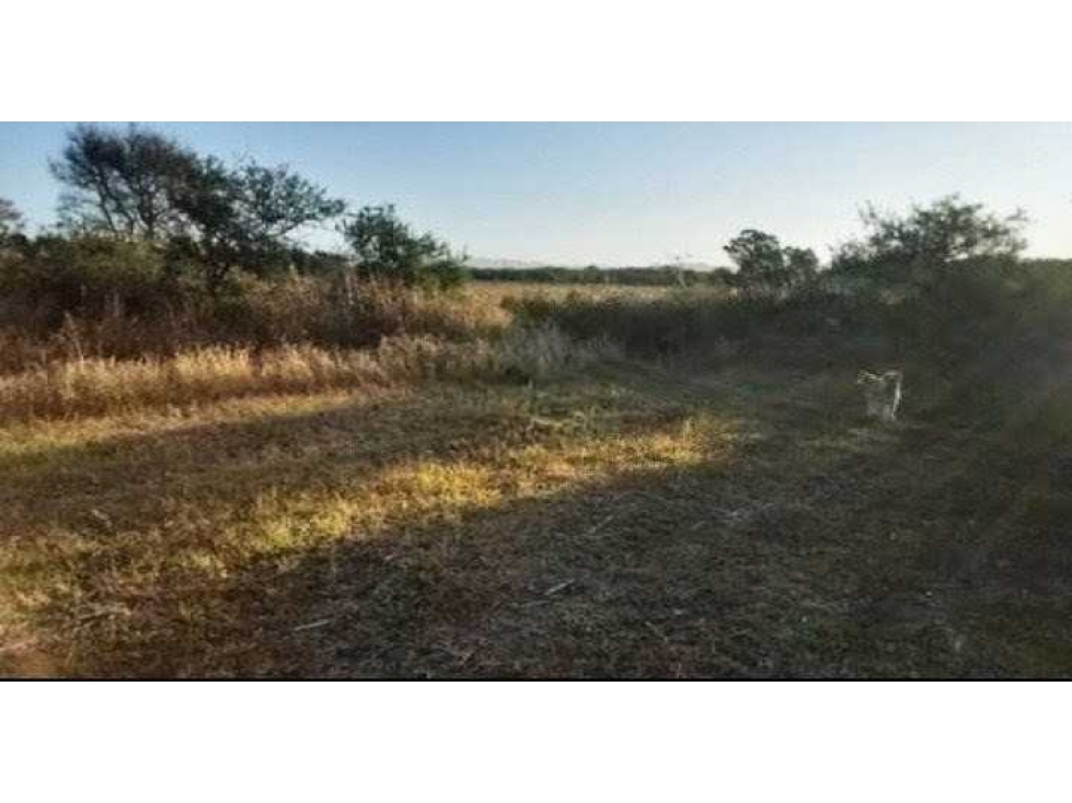 CAMPO 118 HECTAREAS, AGRICOLA, TOTORAL, CORDOBA, ARGENTINA — foto 3