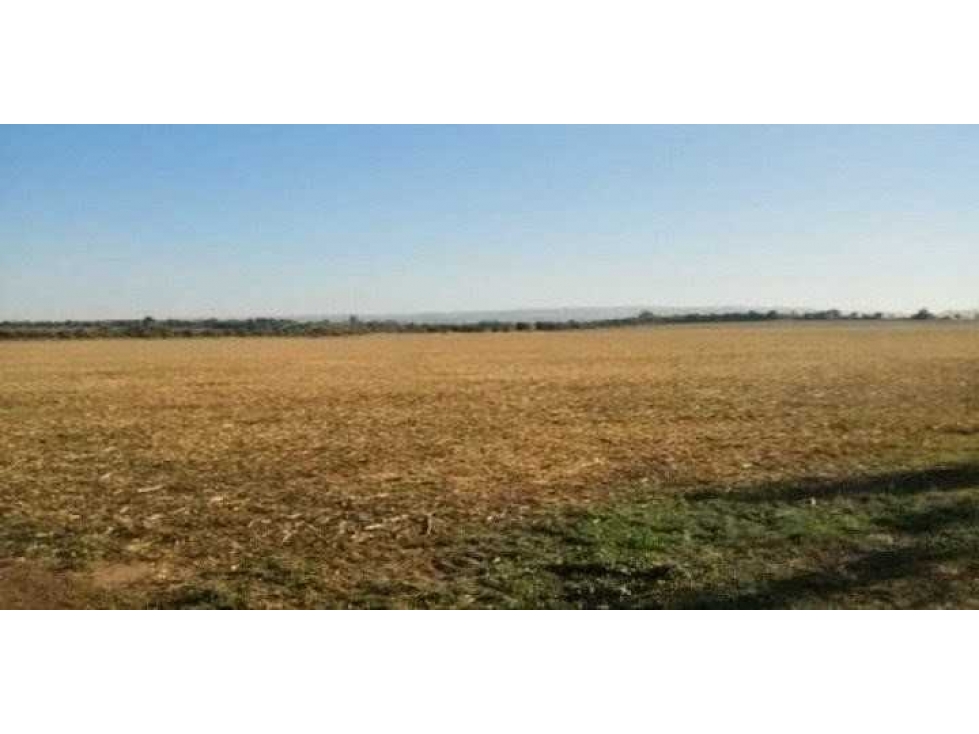 CAMPO 118 HECTAREAS, AGRICOLA, TOTORAL, CORDOBA, ARGENTINA — foto 4