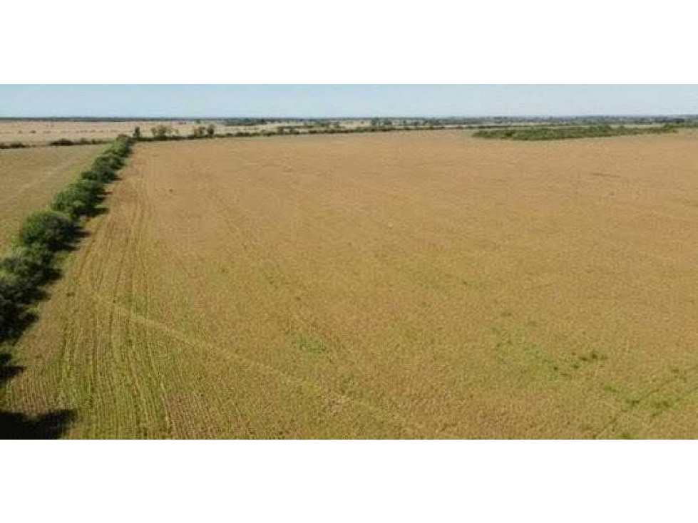 CAMPO 118 HECTAREAS, AGRICOLA, TOTORAL, CORDOBA, ARGENTINA — foto 6
