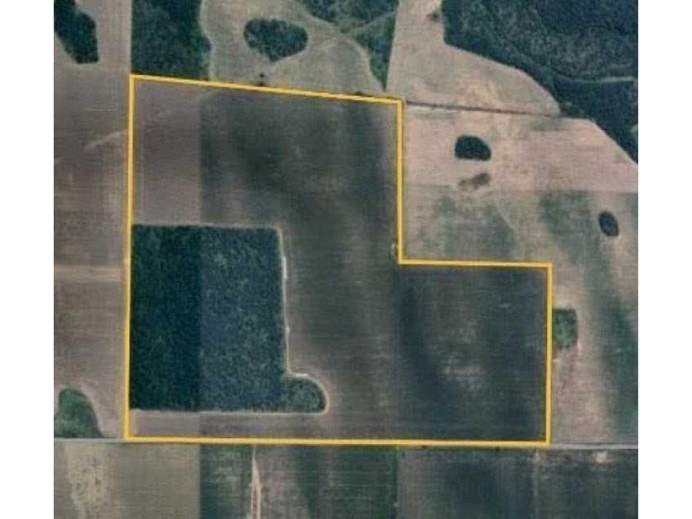 CAMPO 120 HECTAREAS, AGRICOLA, RIO CUARTO, CHAJAN, CORDOBA, ARGENTINA - 2