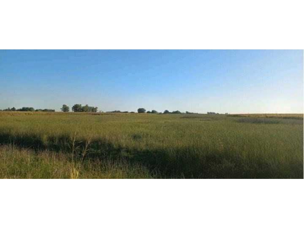 CAMPO 120 HECTAREAS, MIXTO, URDAMPILLETA, BUENOS AIRES, ARGENTINA - 2