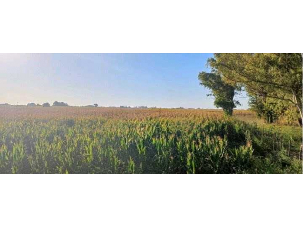 CAMPO 120 HECTAREAS, MIXTO, URDAMPILLETA, BUENOS AIRES, ARGENTINA - 4