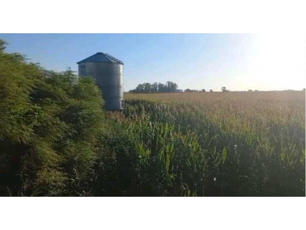 CAMPO 120 HECTAREAS, MIXTO, URDAMPILLETA, BUENOS AIRES, ARGENTINA - 5