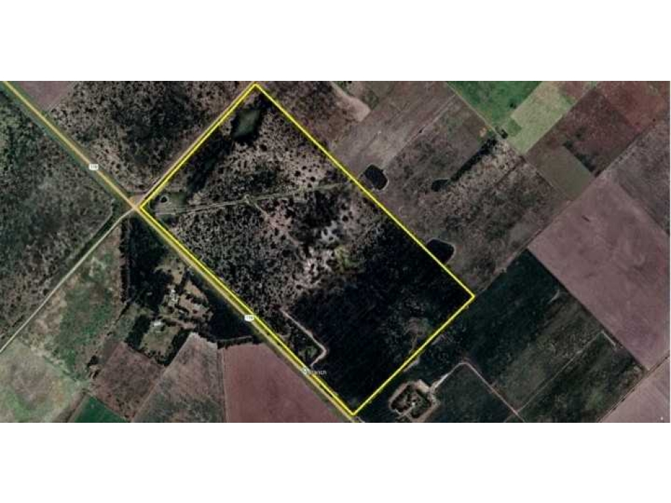 CAMPO 122 HAS, AGRICOLA, PERGAMINO, BUENOS AIRES, ARGENTINA - 2