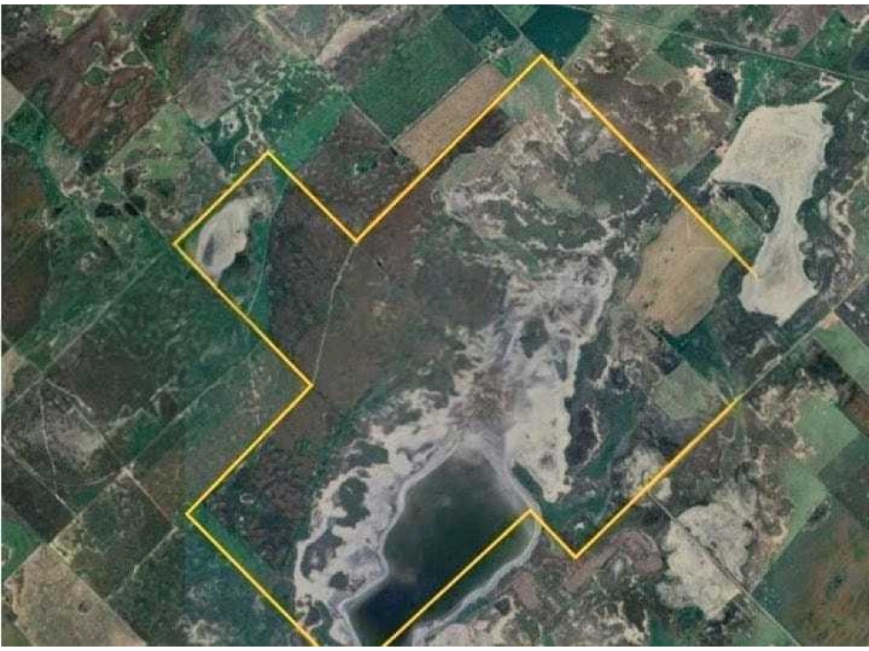 CAMPO 1241 HECTAREAS MIXTO, CARLOS TEJEDOR, BUENOS AIRES, ARGENTINA - 1