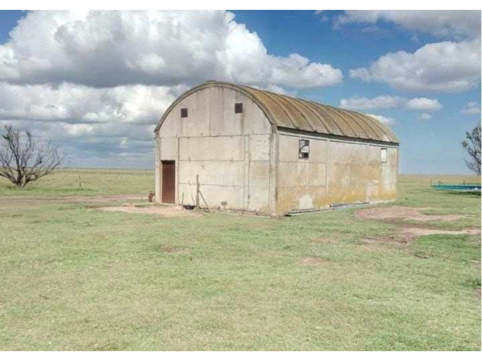 CAMPO 1320 HECTAREAS, MIXTO, LABOULAYE, CORDOBA, ARGENTINA - 2
