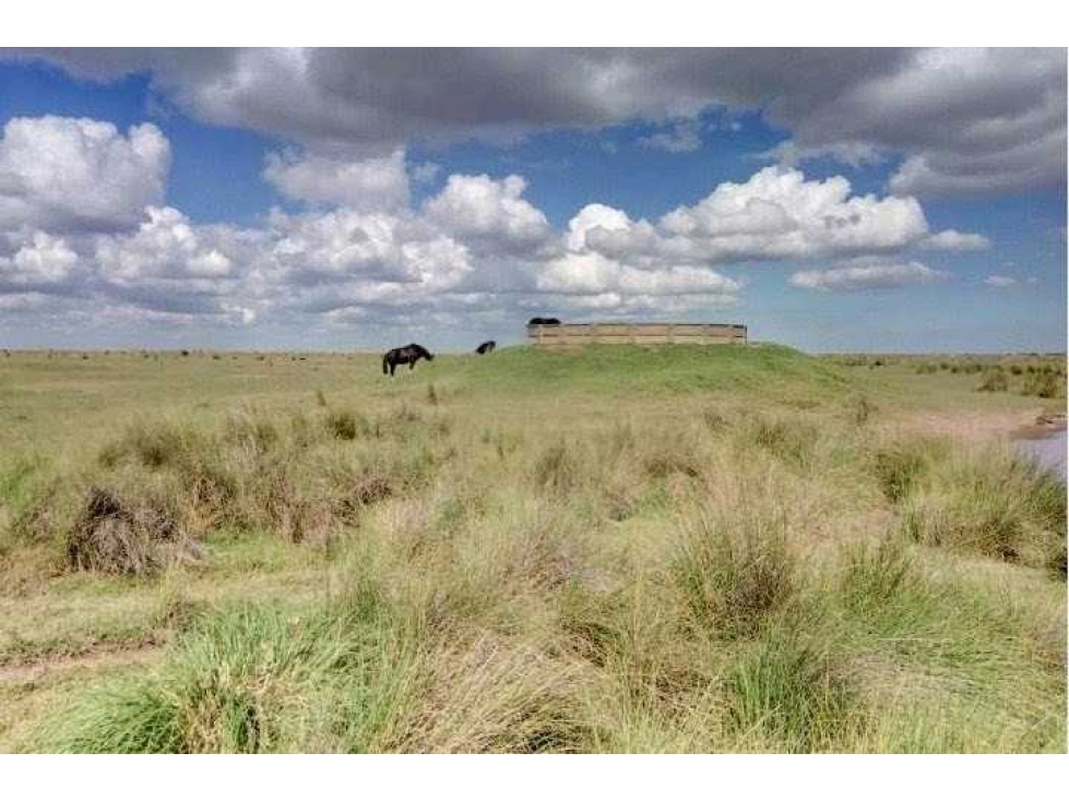 CAMPO 1320 HECTAREAS, MIXTO, LABOULAYE, CORDOBA, ARGENTINA - 3