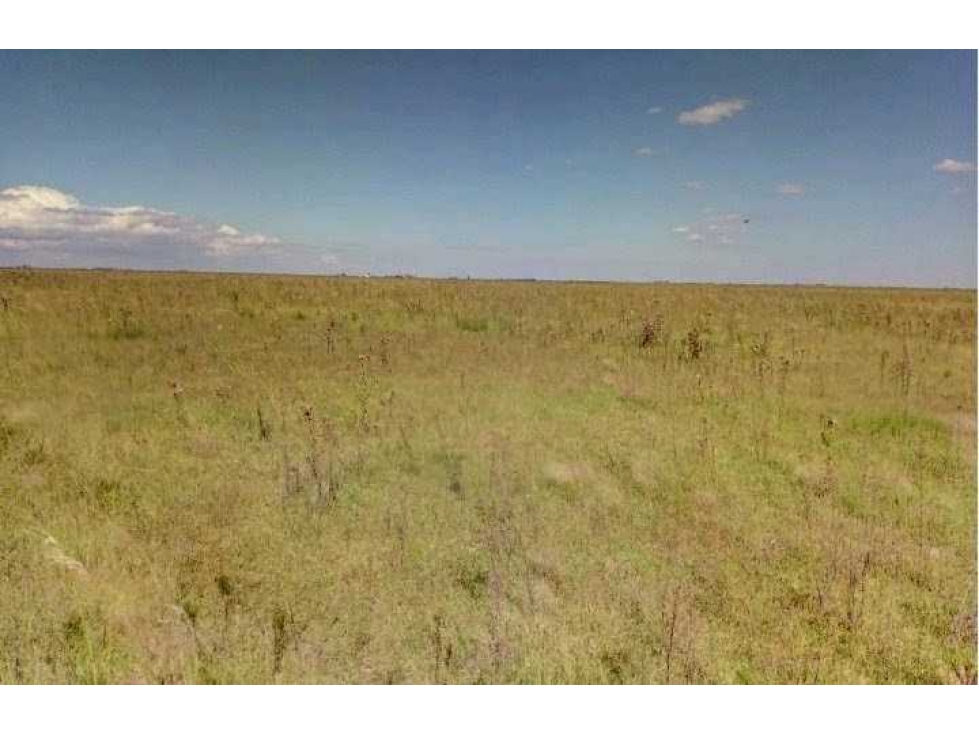 CAMPO 1320 HECTAREAS, MIXTO, LABOULAYE, CORDOBA, ARGENTINA - 6