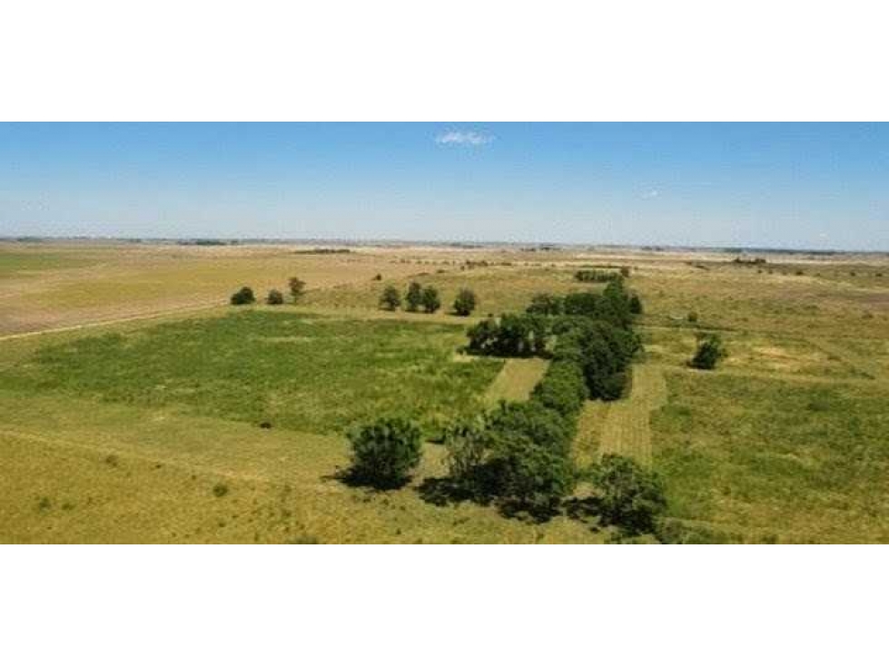 CAMPO 132 HECTAREAS, MIXTO, MAGDALENA, BUENOS AIRES, ARGENTINA - 1