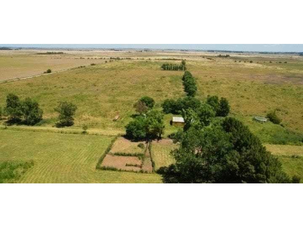 CAMPO 132 HECTAREAS, MIXTO, MAGDALENA, BUENOS AIRES, ARGENTINA - 5