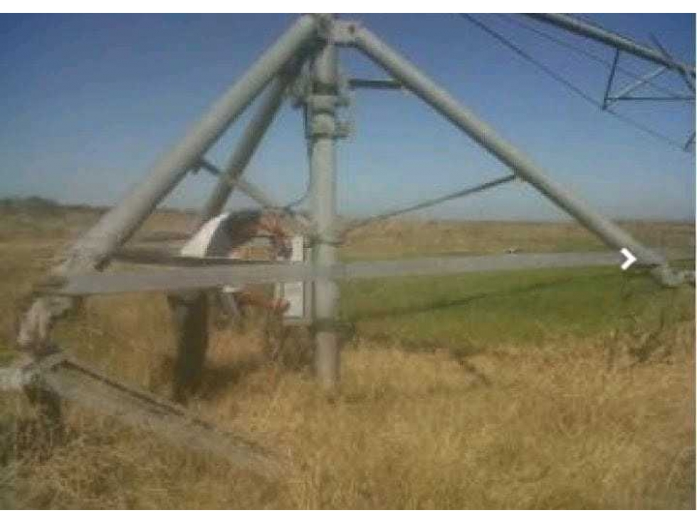 CAMPO 1335 HAS AGRICOLAS, TORRES, LUJAN, BUENOS AIRES, ARGENTINA - 3