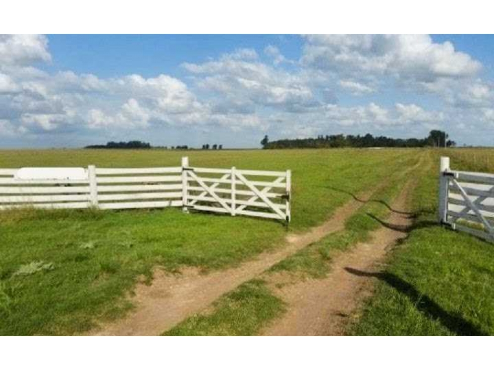 CAMPO 1344 HECTAREAS, MIXTO, AYACUCHO, BUENOS AIRES, ARGENTINA - 1