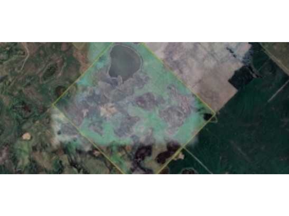 CAMPO 136 HECTAREAS, AGRICOLA, HENDERSON, BUENOS AIRES, ARGENTINA - 3