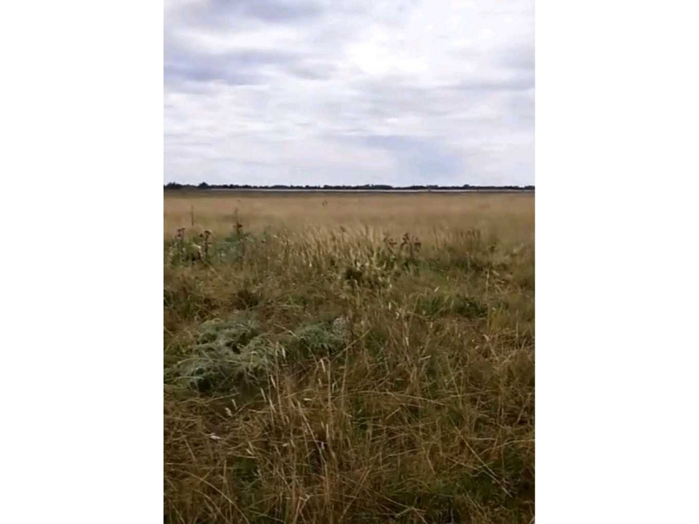 CAMPO 138 HECTAREAS, MIXTO, CHASCOMUS, BUENOS AIRES,ARGENTINA - 3