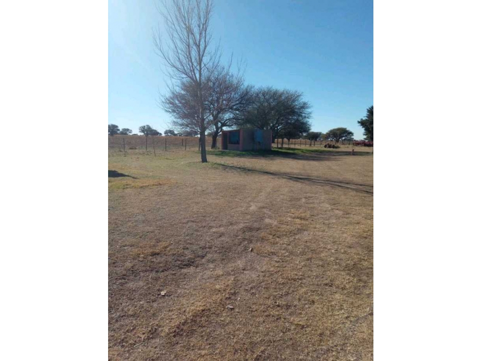 CAMPO 140 HAS, VILLA MERCEDES, SAN LUIS, ARGENTINA - 2