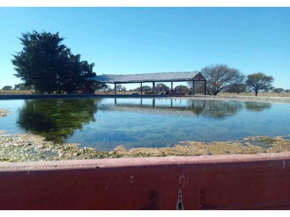 CAMPO 140 HAS, VILLA MERCEDES, SAN LUIS, ARGENTINA - 3