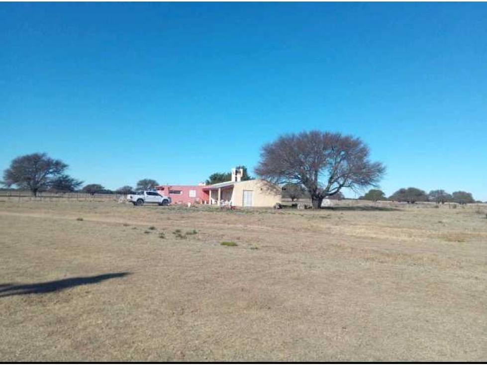 CAMPO 140 HAS, VILLA MERCEDES, SAN LUIS, ARGENTINA - 4