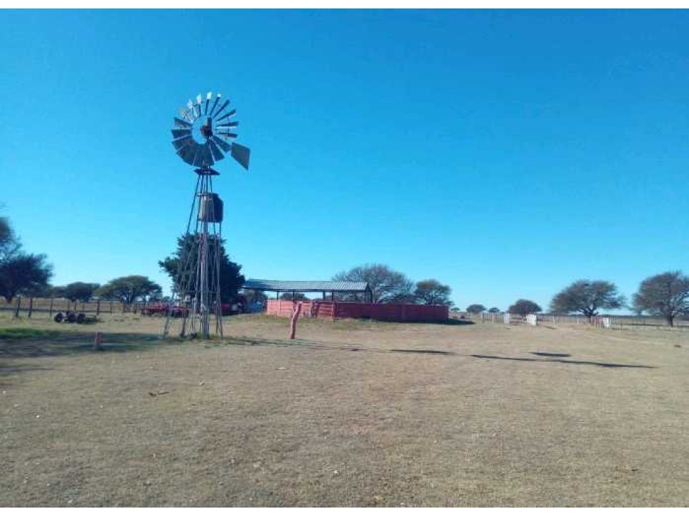 CAMPO 140 HAS, VILLA MERCEDES, SAN LUIS, ARGENTINA - 5