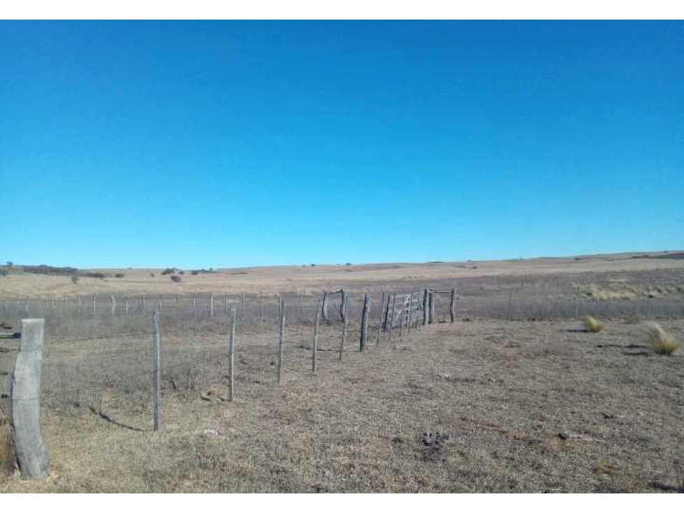 CAMPO 140 HAS, VILLA MERCEDES, SAN LUIS, ARGENTINA - 6