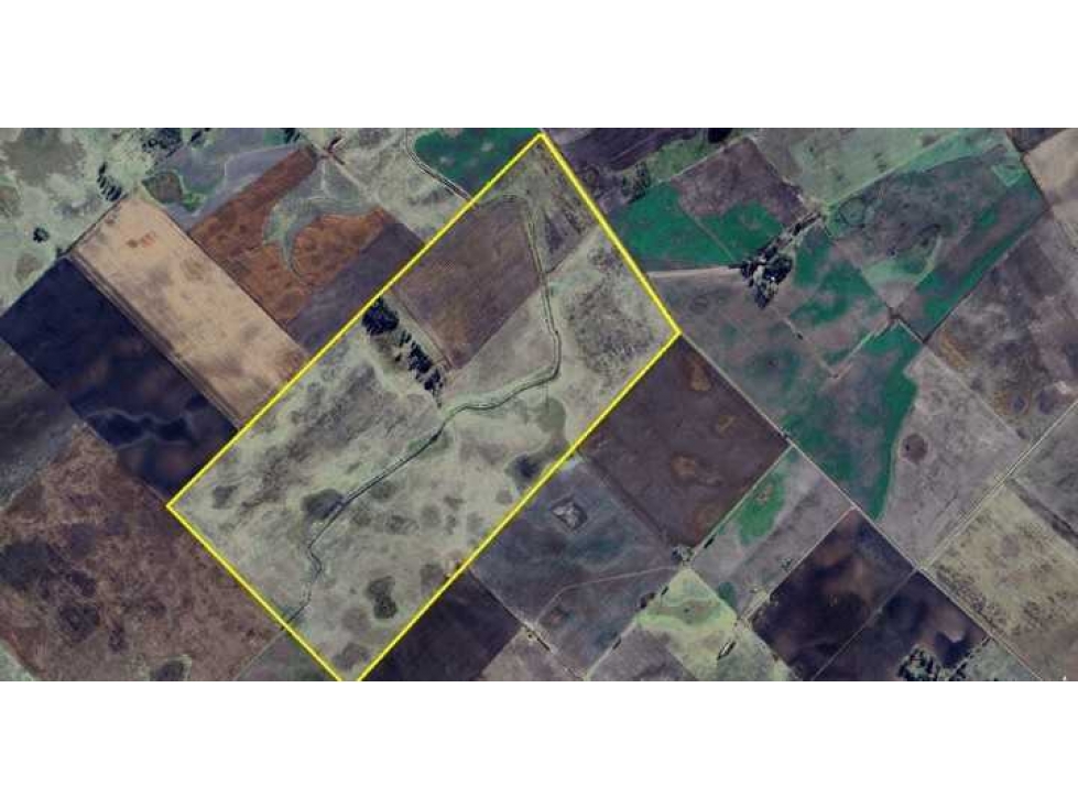 CAMPO 140 HECTAREAS, AGRICOLA, BOLIVAR, BUENOS AIRES, ARGENTINA - 2