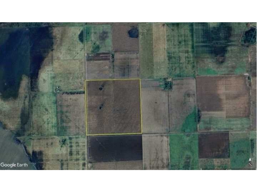 CAMPO 140 HECTAREAS, BUNGE, GENERAL VILLEGAS, BUENOS AIRES, ARGENTINA - 3