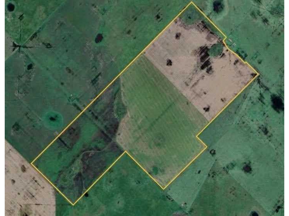 CAMPO 150 HECTAREAS, AGRICOLA, OLAVARRIA, BUENOS AIRES, ARGENTINA - 2