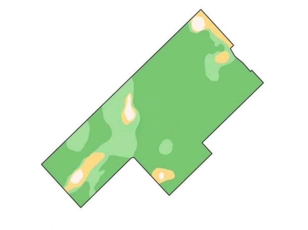 CAMPO 150 HECTAREAS, AGRICOLA, OLAVARRIA, BUENOS AIRES, ARGENTINA - 4