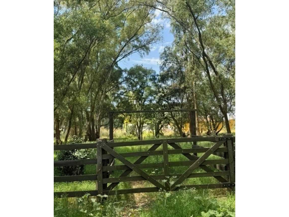 CAMPO 150 HECTAREAS, MIXTO, BOLIVAR, BUENOS AIRES, ARGENTINA - 2