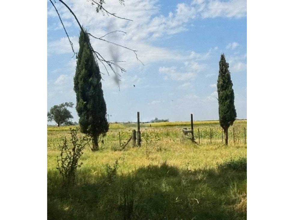 CAMPO 150 HECTAREAS, MIXTO, BOLIVAR, BUENOS AIRES, ARGENTINA - 3