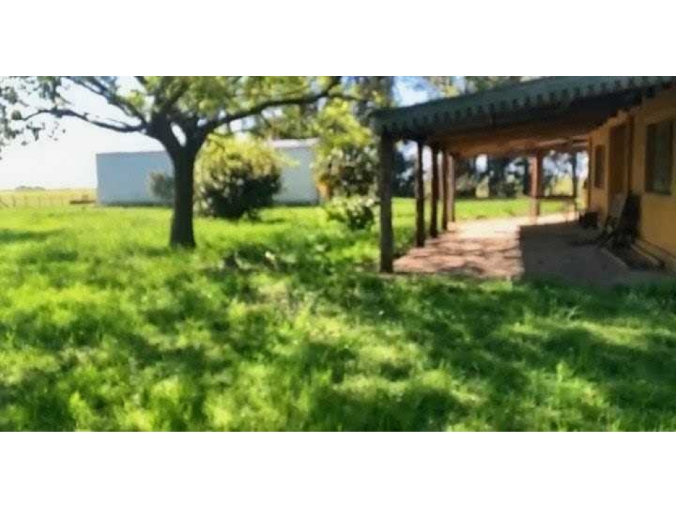CAMPO 150 HECTAREAS, MIXTO, BOLIVAR, BUENOS AIRES, ARGENTINA - 4