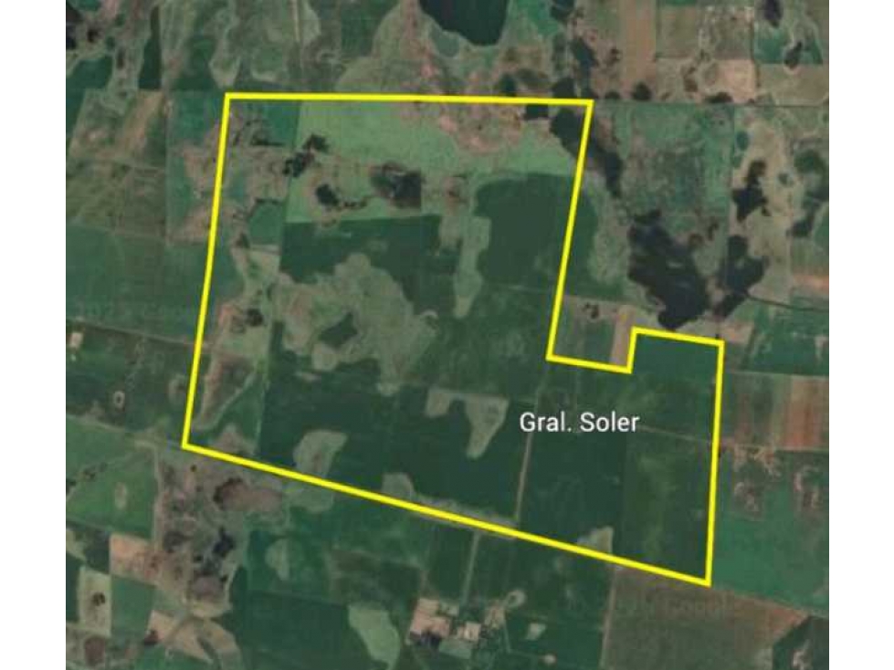 CAMPO 1530 HAS AGRICOLAS, RIO CUARTO, CORDOBA, ARGENTINA - 6