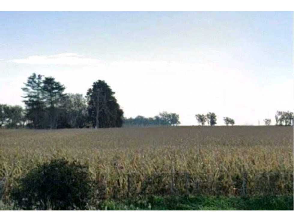 CAMPO 1537 HECTAREAS, AGRICOLA, SAN FABIAN, SANTA FE, ARGENTINA - 3