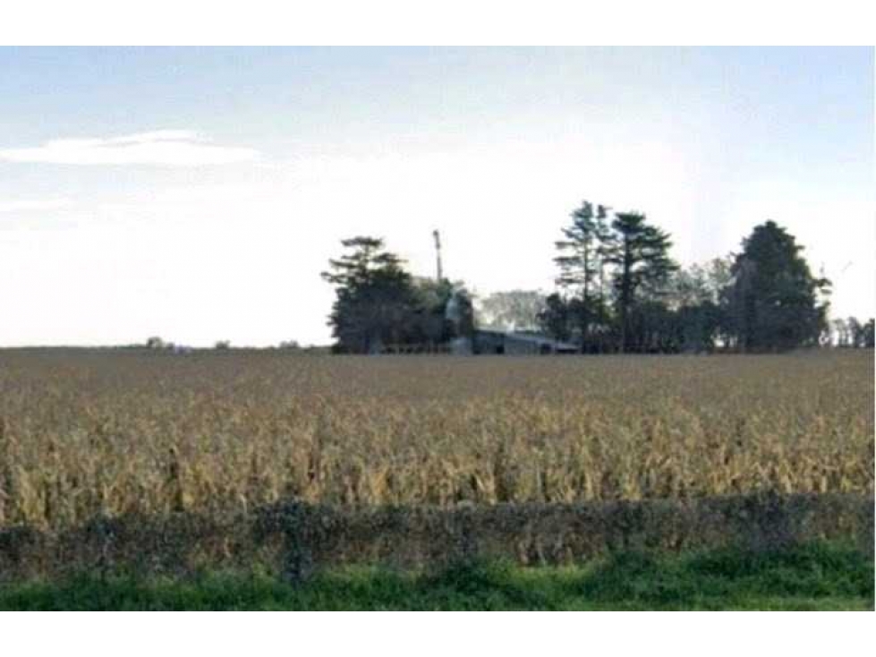 CAMPO 1537 HECTAREAS, AGRICOLA, SAN FABIAN, SANTA FE, ARGENTINA - 6